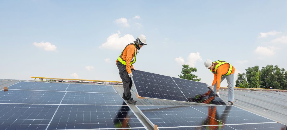 Paneles solares para empresas: inversión rentable a largo plazo